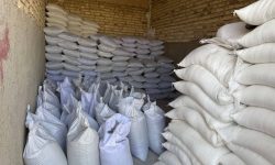 کشف انبار احتکار کود شیمیایی قاچاق در دورود