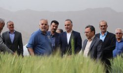 افزایش ۹ میلیون تنی محصولات زراعی در کشور