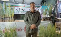 توزیع گسترده نهال در موکب شهدای سازمان منابع طبیعی استان