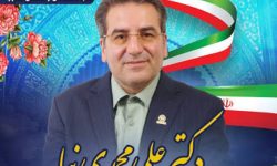 روایت دکتر محمدی‌نیا از زخم‌های پنهان اقتصاد لرستان