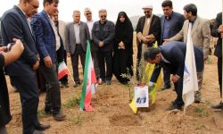 کاشت ۱۵۵ نهال زیتون به یاد شهدا در دانشگاه آزاد اسلامی خرم آباد