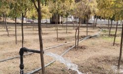 هدررفت ۵ میلیون متر مکعب آب شرب در فضای سبز لرستان
