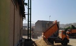 مجتمع انباری تعاون روستایی پلدختر مکانیزه شد