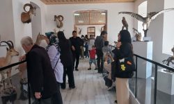 کسب رتبه برتر موزه تاریخ طبیعی و تنوع زیستی لرستان در کشور