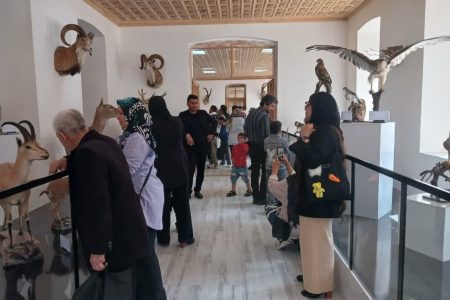 کسب رتبه برتر موزه تاریخ طبیعی و تنوع زیستی لرستان در کشور