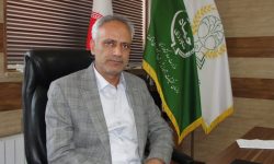 فرمان «تات» برای هوشمندسازی؛مزارع الگویی،پیشرانِ کشاورزی نوین در لرستان