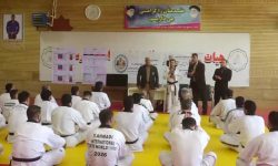 برگزاری کلاس دانش افزایی داوری تکواندو در خرم آباد