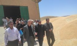 افتتاح ۲ انبار محصولات کشاورزی با ظرفیت ۱۵۰۰ تن در لرستان