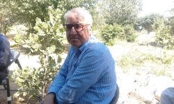 استقرار ۳۰۰ گونه بومی در باغ گیاه‌شناسی زاگرس