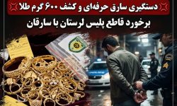 کشف ۶۰۰ گرم طلای سرقتی در بروجرد