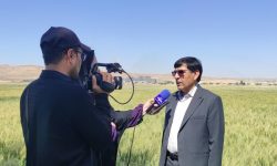 تجهیز ۳.۲ میلیون هکتار از اراضی آبی کشور به آبیاری نوین