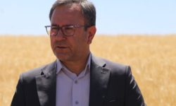 افزایش تولید گندم در لرستان با اجرای طرح پایداری تولید