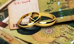 ۶۸۰۰ زوج بروجردی در انتظار دریافت تسهیلات ازدواج و فرزندآوری