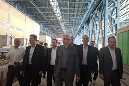 تأکید ایمیدرو بر تحقق رشد ۱۳ درصدی بخش معدن در برنامه هفتم توسعه