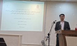 اجرای طرح کاربردی عضو هیئت علمی دانشگاه لرستان در مزارع برنج