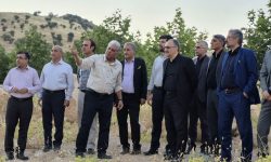 بازدید مدیران مالیاتی لرستان از مجموعه کشت و صنعت در هفته مالیات