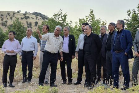 بازدید مدیران مالیاتی لرستان از مجموعه کشت و صنعت در هفته مالیات
