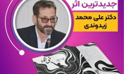 «نمی‌شود»؛تازه‌ترین اثر دکتر علی‌محمد زیدوندی منتشر شد