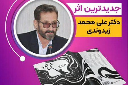 «نمی‌شود»؛تازه‌ترین اثر دکتر علی‌محمد زیدوندی منتشر شد