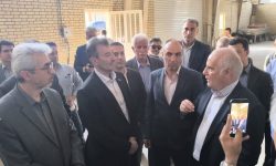 سرمایه‌گذاری ۵ میلیون یورویی ایمیدرو برای کارخانه تولید کاغذ از سنگ الیگودرز
