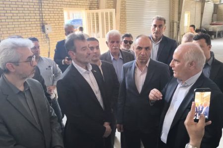 سرمایه‌گذاری ۵ میلیون یورویی ایمیدرو برای کارخانه تولید کاغذ از سنگ الیگودرز