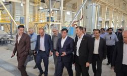 بازدید معاون وزیر صمت از طرح‌های معدنی و صنعتی لرستان