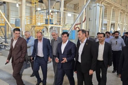 بازدید معاون وزیر صمت از طرح‌های معدنی و صنعتی لرستان