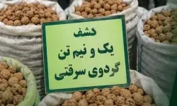کشف یک ونیم تن محصول سرقتی از باغات گردو سلسله