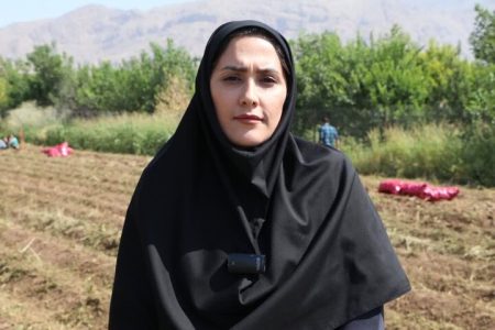 موفقیت کشت زمستانه سیب‌زمینی در اقلیم معتدل سرد الشتر
