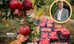 هم‌افزایی پژوهش و اجرا؛کلید توسعه پایدار باغبانی در لرستان