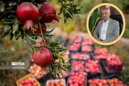 همافزایی پژوهش و اجرا؛کلید توسعه پایدار باغبانی در لرستان