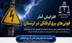 افزایش ۳۰۰ درصدی تلفات برق‌گرفتگی در لرستان