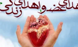 اعضای بدن جوان ازنایی به پنج بیمار جان دوباره بخشید