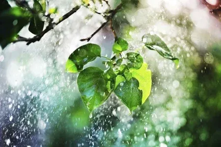 پیش‌بینی نخستین بارش پاییزی در لرستان