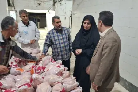 کشتارگاه ۲ هزار تنی طیور سلسله به چرخه تولید بازگشت