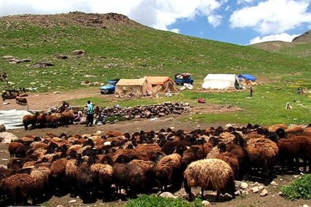 ۱۹۴ روستای لرستان پایلوت طرح ملی افزایش تولید دامداری‌ها شد