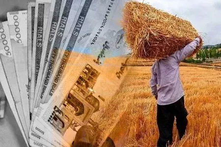 تسویه مطالبات گندم کاران لرستانی تا هفته آینده