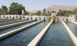 اجرای طرح جامع پایش خوراک و گوشت آبزیان در لرستان