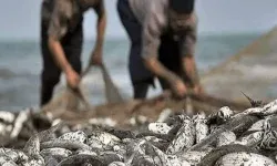 صیادان غیرمجاز در تور محیط بانان لرستانی