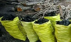 کشف و ضبط ۲۶۰ کیلوگرم زغال قاچاق در خرم‌آباد