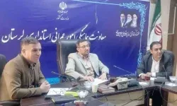 تعیین تکلیف ۱۰ پرونده واگذاری زمین ملی در لرستان