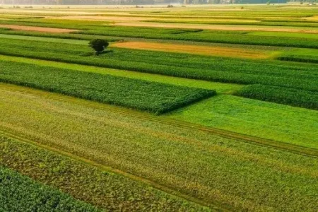 رفع تداخل ۹۵ درصدی زمین های کشاورزی در لرستان