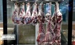 پایان شایعه کشتار تک‌سمیان در لرستان؛هیچ مجوزی صادر نشده است