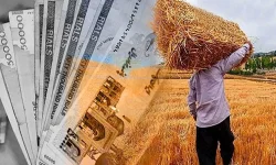 ۷۵ درصد مطالبات گندم‌کاران لرستان پرداخت شد