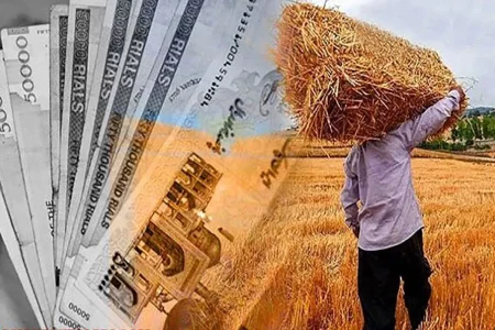 ۷۵ درصد مطالبات گندمکاران لرستان پرداخت شد