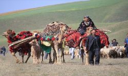 آغاز کوچ ۳۲۰۰ خانوار عشایری خرم‌آباد به مناطق قشلاقی