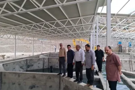 مجتمع پرورش ماهیان خاویاری سپیددشت در آستانه بهرهبرداری