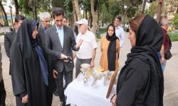 راه‌اندازی «روزبازار» صنایع‌دستی در بروجرد