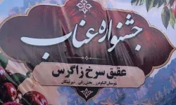 برگزاری نخستین جشنواره عناب در الیگودرز