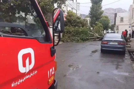 سقوط ۱۴ درخت در باد شدید خرمآباد/ ۳ خودرو خسارت دید